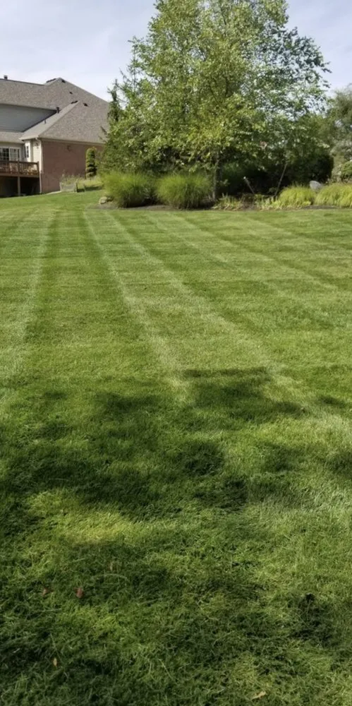 Expert outdoor landscaping for residential properties across Summerville, SC - Trucut Lawns Unlimited