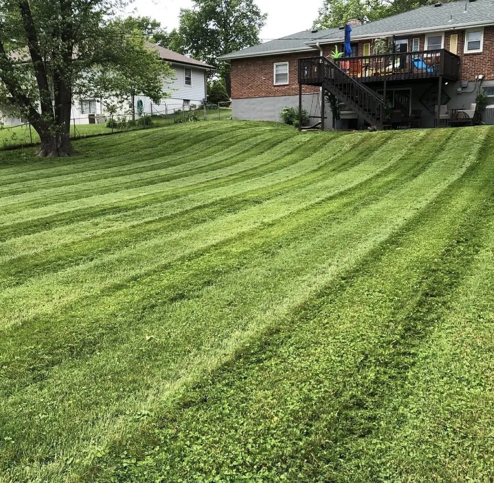 Trusted landscaping services in Summerville, SC - Trucut Lawns Unlimited