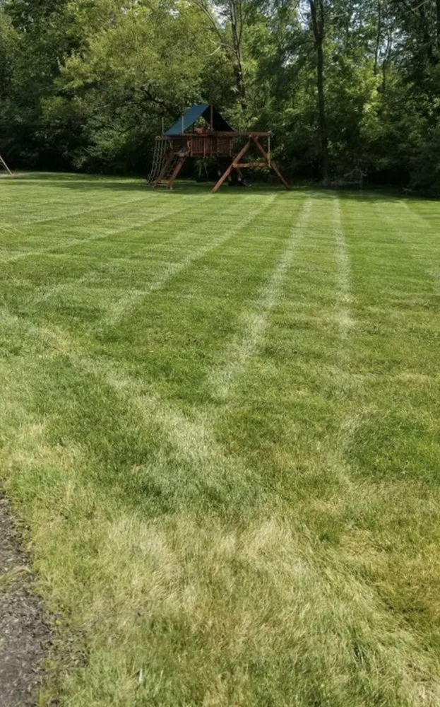 Top-rated lawn mowing service with custom design across Summerville, SC - Trucut Lawns Unlimited