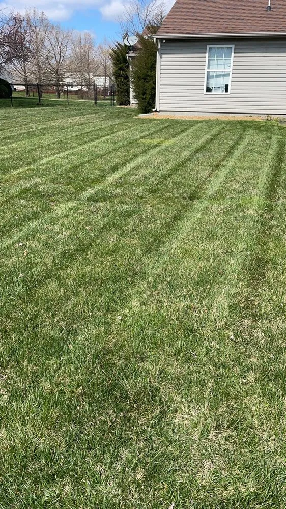 Professional landscaping services experts serving Summerville, SC - Trucut Lawns Unlimited