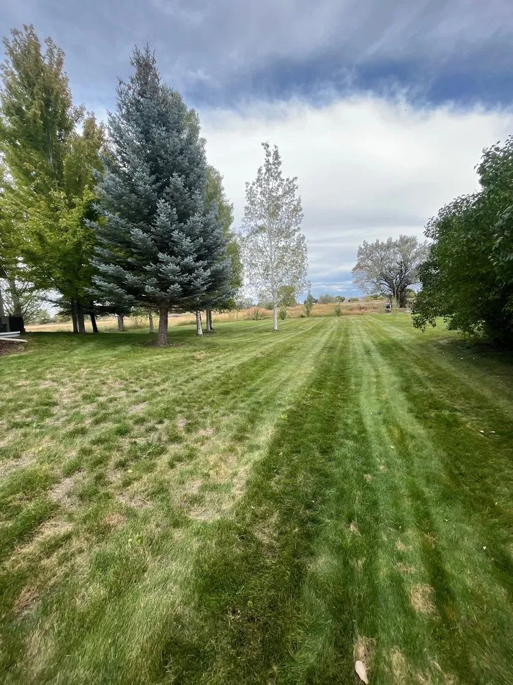 Custom garden landscaping for outdoor upgrades across Idaho Falls, ID - TruCut Site Management