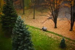 Trusted yard maintenance for beautiful yards across Idaho Falls, ID - TruCut Site Management