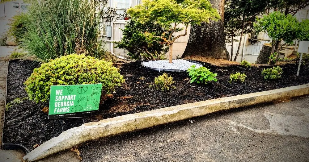 Reliable landscape installation in Jonesboro, GA - True 360 Services