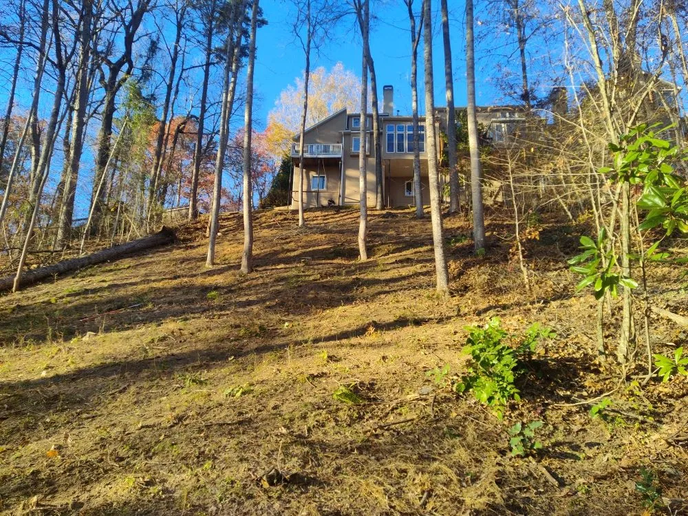 Reliable landscape installation in Jonesboro, GA by True 360 Services