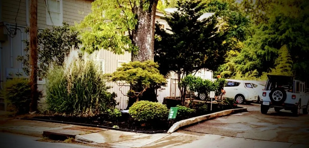 Top-rated residential landscaping experts serving Jonesboro, GA - True 360 Services