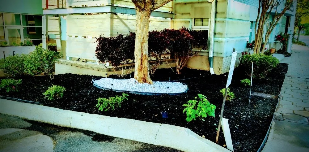 Professional garden landscaping in Jonesboro, GA by True 360 Services