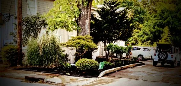 True 360 Services Logo