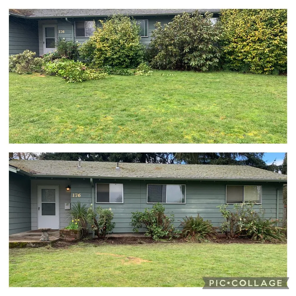 Top-rated landscape design for year-round maintenance across Independence, OR - True American Landscape