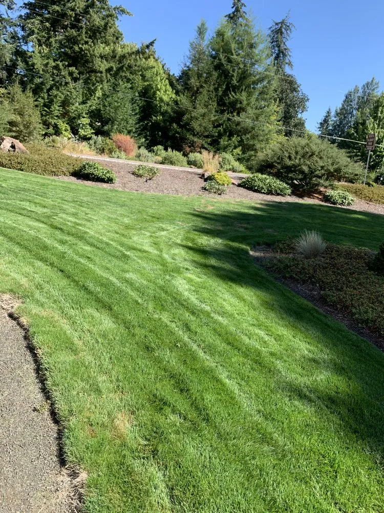 Top-rated yard cleanup service for residential properties in Independence, OR by True American Landscape