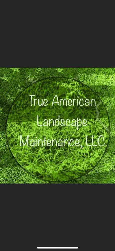 Professional yard cleanup service for year-round maintenance across Independence, OR - True American Landscape