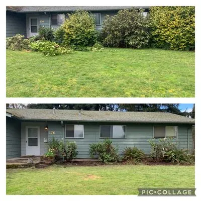 True American Landscape