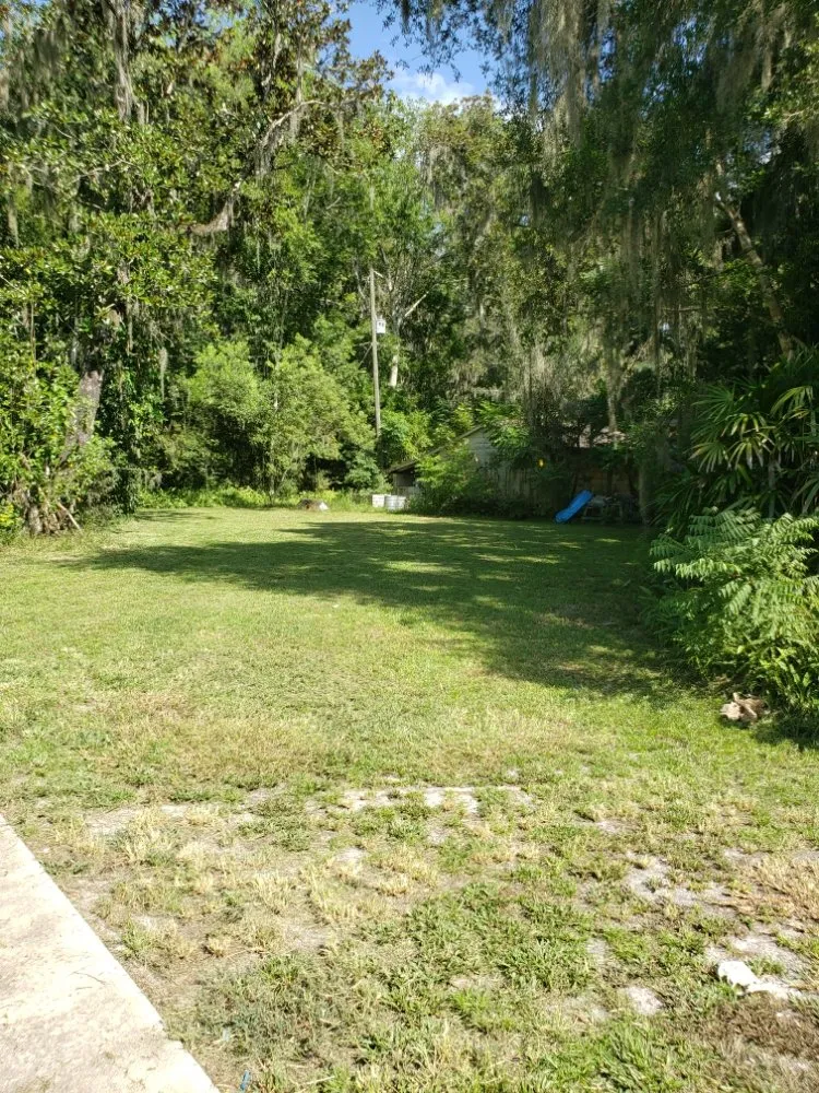 Local yard maintenance with custom design in Hastings, FL by True American Lawn Service