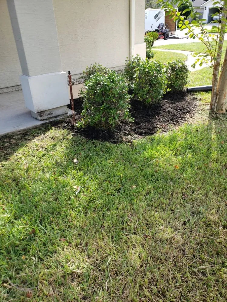 Trusted garden landscaping for beautiful yards across Hastings, FL - True American Lawn Service