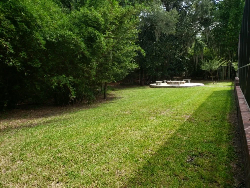 Reliable landscaping services experts serving Hastings, FL - True American Lawn Service