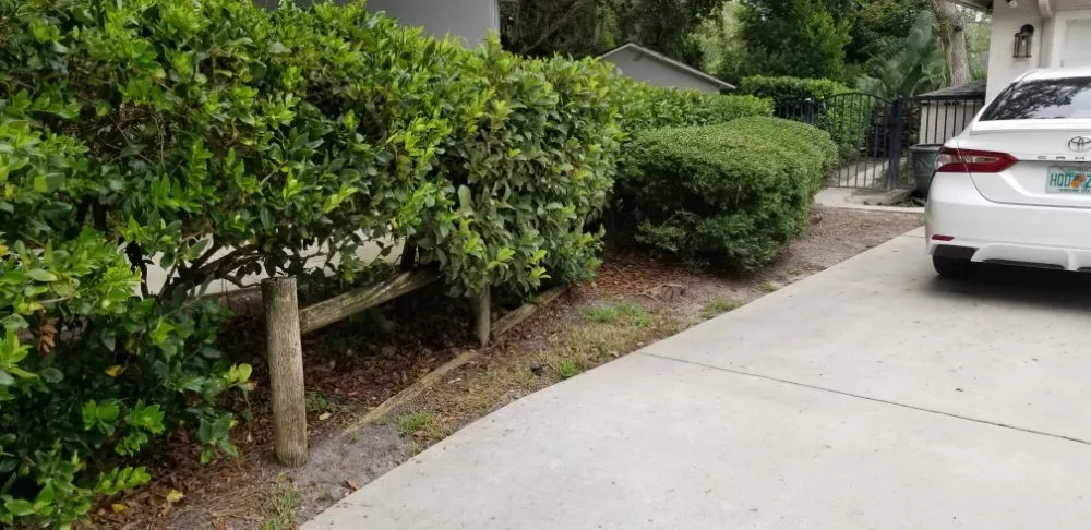 Reliable residential landscaping for residential properties in Hastings, FL by True American Lawn Service