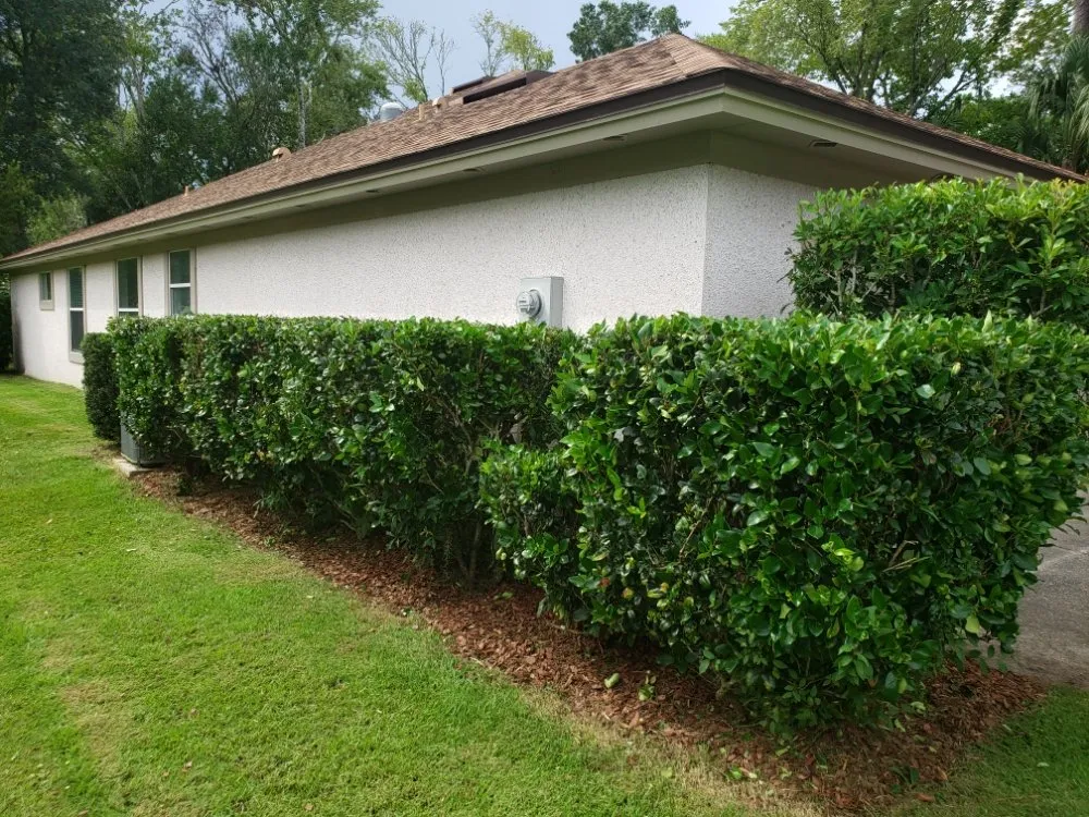 Local landscape installation with custom design in Hastings, FL by True American Lawn Service