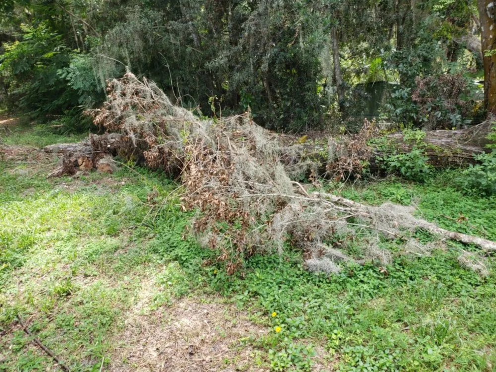 Custom yard maintenance in Hastings, FL - True American Lawn Service