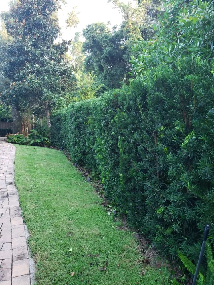 Local residential landscaping for outdoor upgrades across Hastings, FL - True American Lawn Service