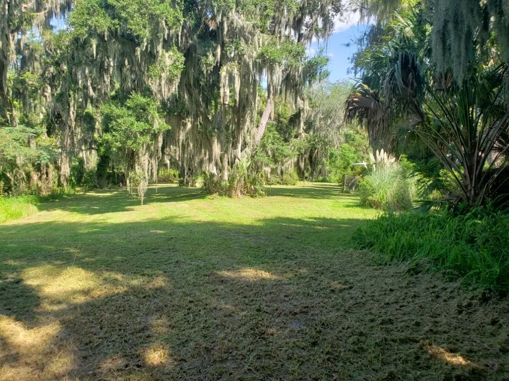 Local landscape design in Hastings, FL by True American Lawn Service