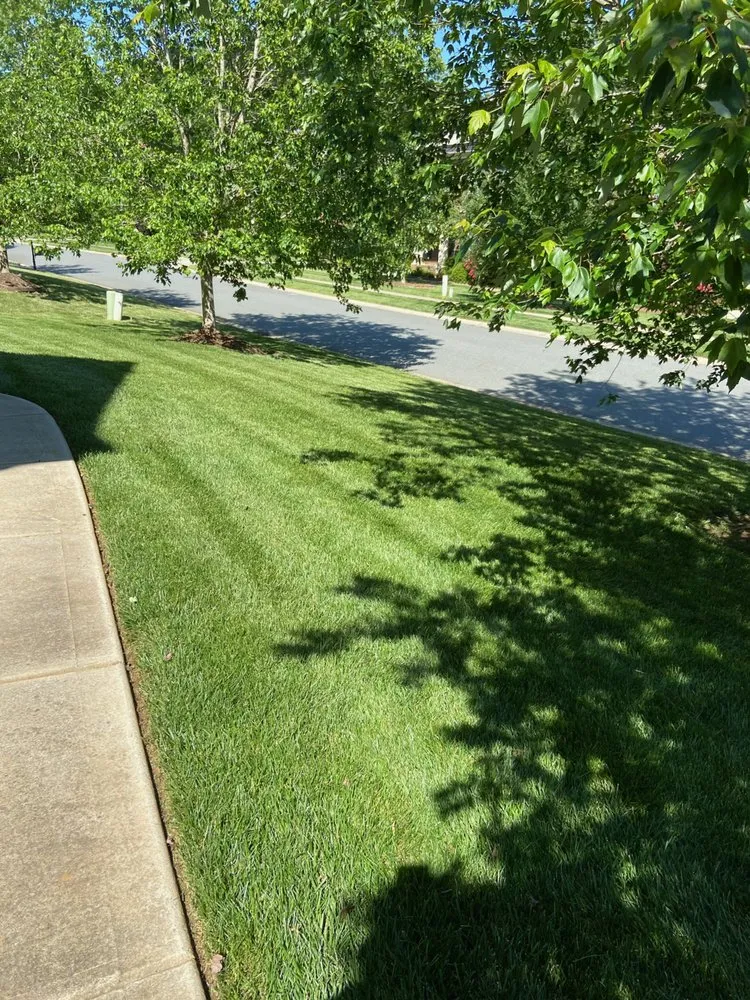 Professional lawn mowing service experts serving Charlotte, NC - True Authority Landscaping