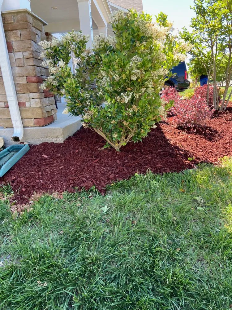 Trusted landscaping services in Charlotte, NC by True Authority Landscaping