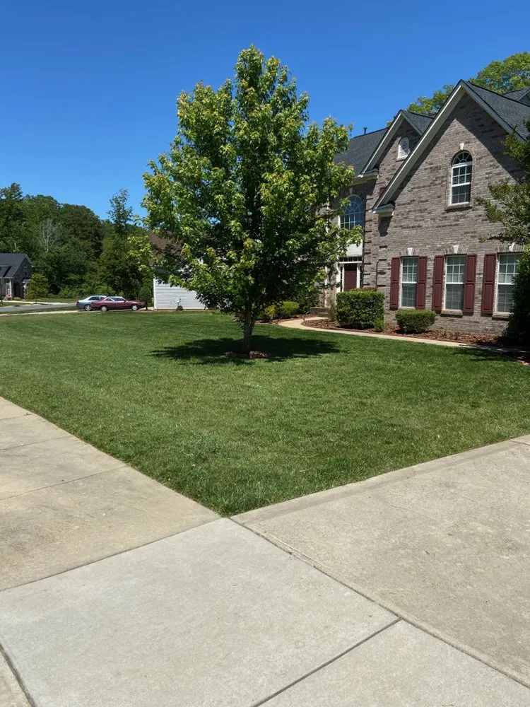 Expert landscaping services experts serving Charlotte, NC - True Authority Landscaping