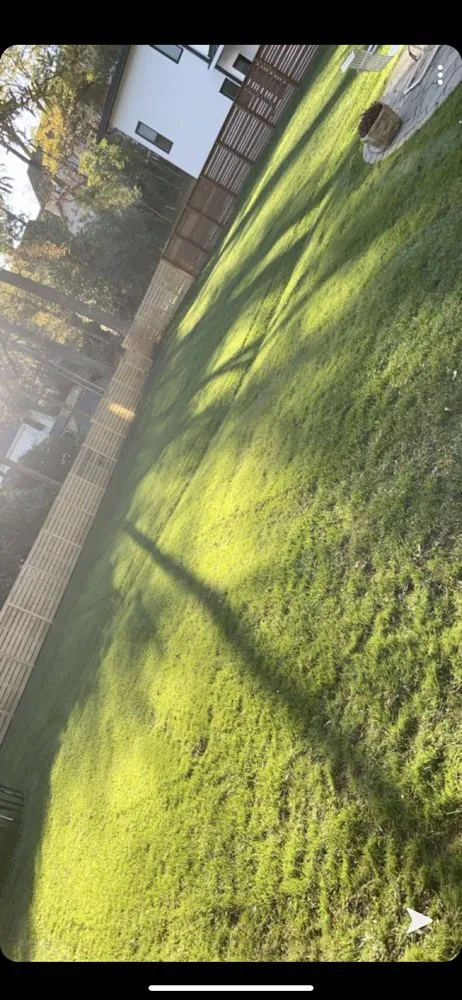 Expert residential landscaping in Charlotte, NC - True Authority Landscaping