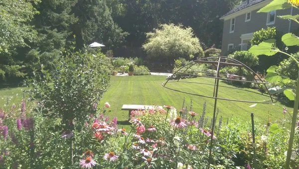 True Blue Landscape Logo