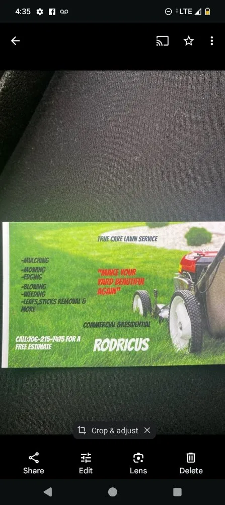 Local landscape installation experts serving Comer, GA - True Care Lawn Services