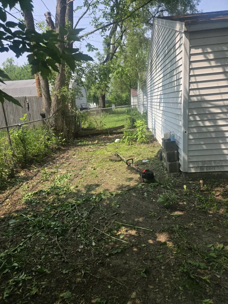 Professional landscape design in Dearborn Heights, MI by True Care lawn services