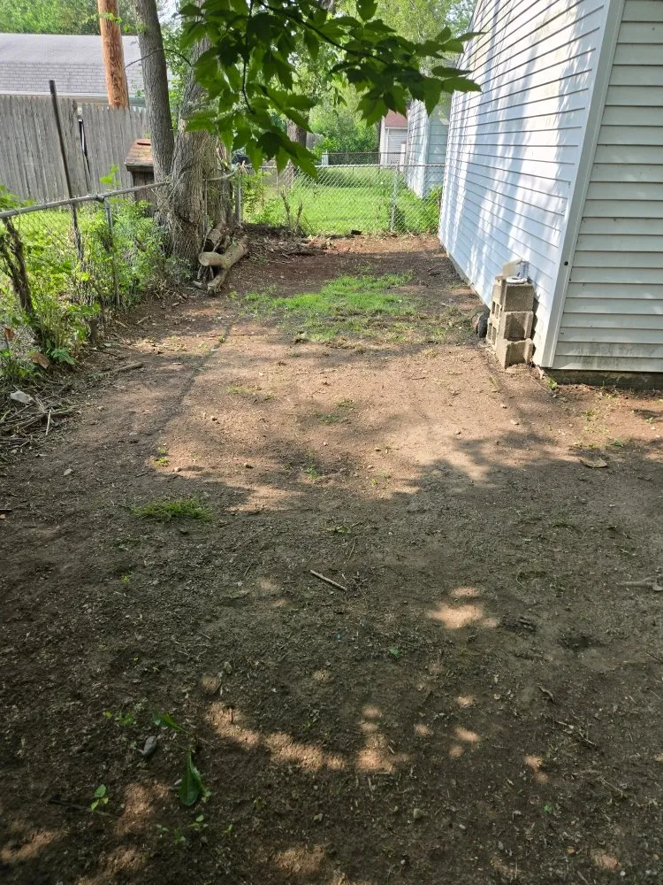 Custom landscape installation in Dearborn Heights, MI by True Care lawn services