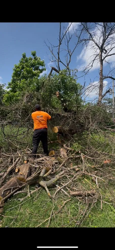 Reliable lawn care service experts serving Saint Louis, MO - True Clean Landscaping