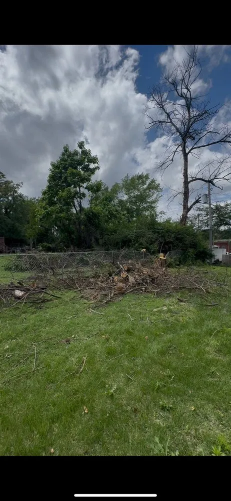 Custom lawn mowing service for residential properties in Saint Louis, MO by True Clean Landscaping