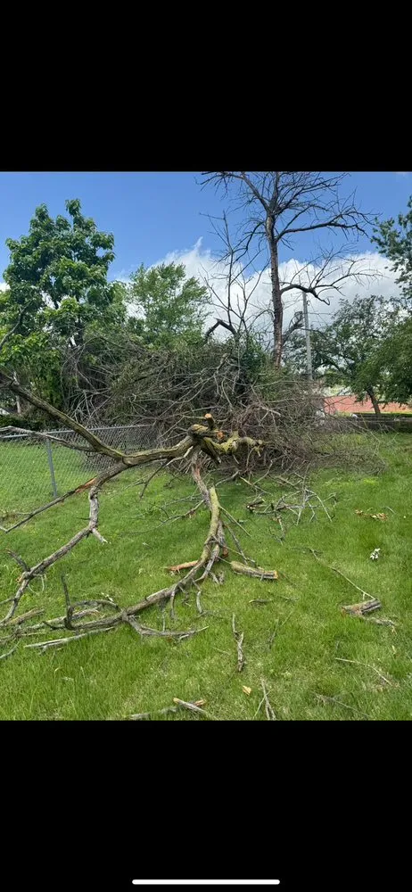 Local landscaping services experts serving Saint Louis, MO - True Clean Landscaping