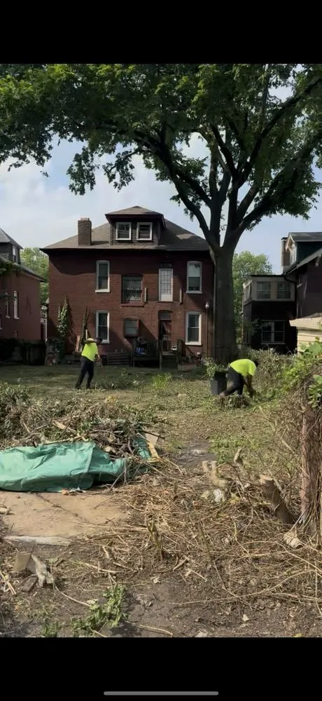 Affordable yard cleanup service experts serving Saint Louis, MO - True Clean Landscaping