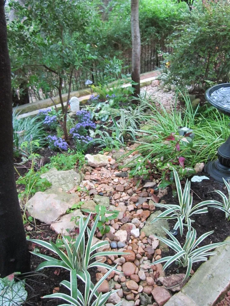 Reliable yard maintenance for year-round maintenance across Dallas, TX - True Concept Landscaping