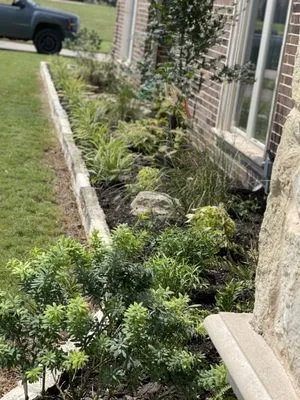 True Concept Landscaping Logo