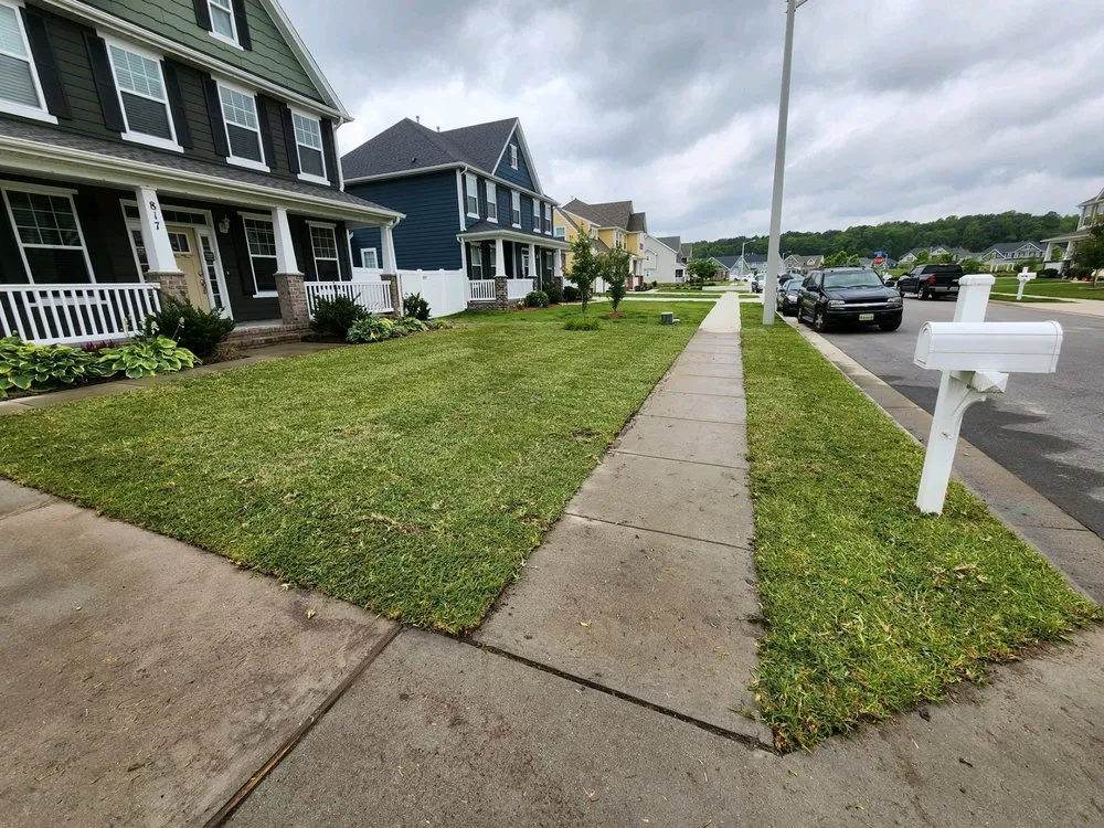 Expert yard maintenance near you across Virginia Beach, VA - True Craft Contracting