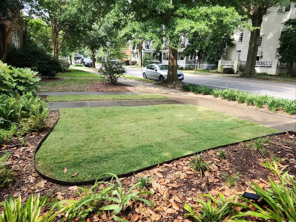 Professional yard maintenance for outdoor upgrades in Virginia Beach, VA by True Craft Contracting