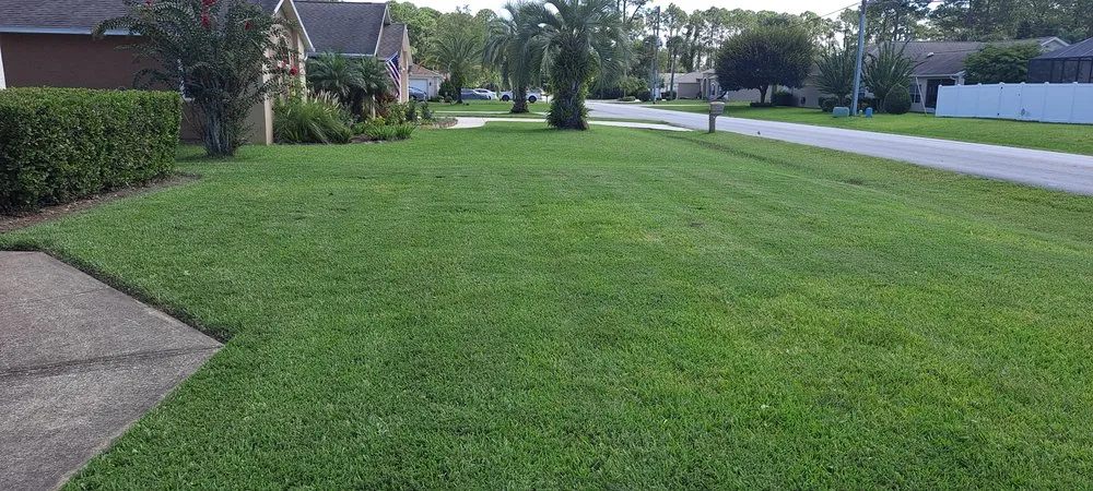 Custom lawn mowing service experts serving Palm Coast, FL - True Cut Lawn Care