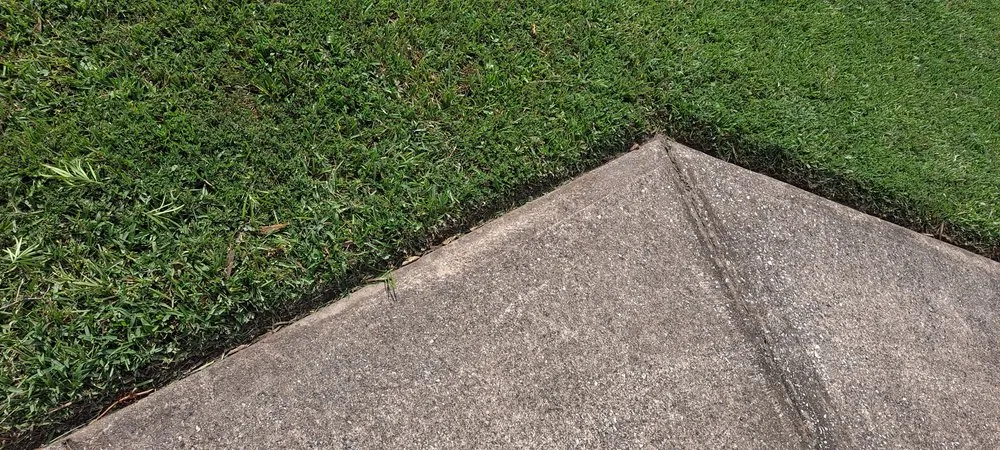 Affordable lawn care service experts serving Palm Coast, FL - True Cut Lawn Care