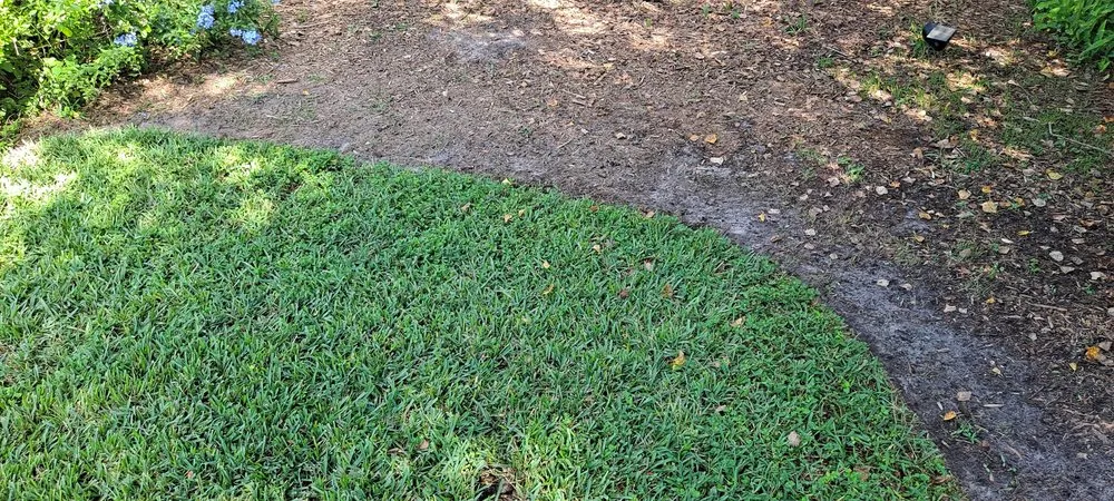 Affordable landscape installation near you in Palm Coast, FL by True Cut Lawn Care