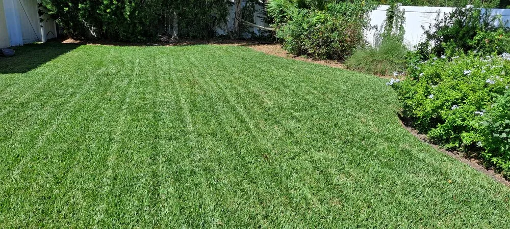 Trusted yard maintenance in Palm Coast, FL by True Cut Lawn Care