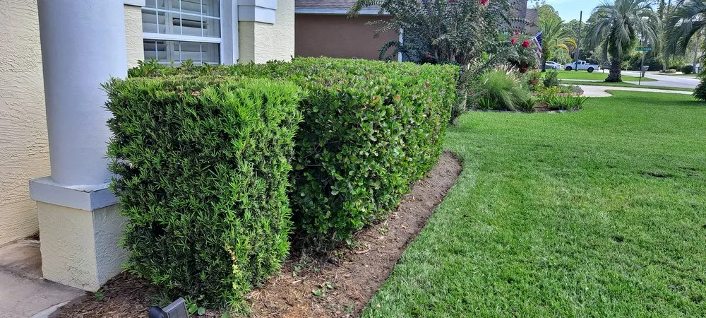 Local landscaping services near you in Palm Coast, FL by True Cut Lawn Care