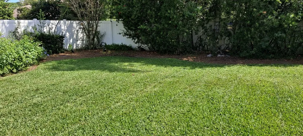 Top-rated landscaping services in Palm Coast, FL by True Cut Lawn Care