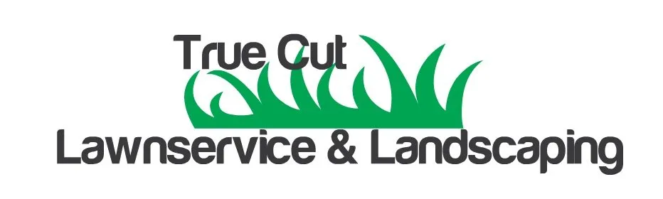 Reliable lawn mowing service in Ofallon, MO by True Cut Lawn Service and Landscaping