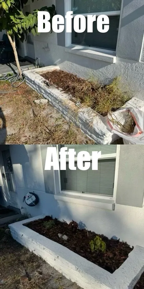 Top-rated yard maintenance experts serving Saint Petersburg, FL - True Cut Outdoor Services