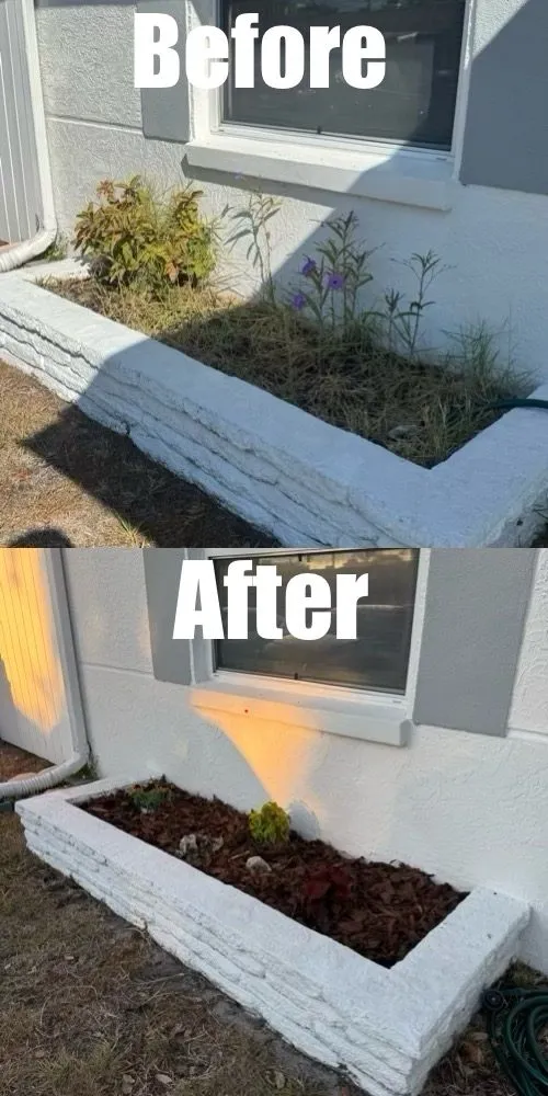 Professional landscape installation for beautiful yards across Saint Petersburg, FL - True Cut Outdoor Services