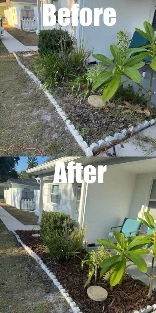 Trusted residential landscaping for beautiful yards across Saint Petersburg, FL - True Cut Outdoor Services