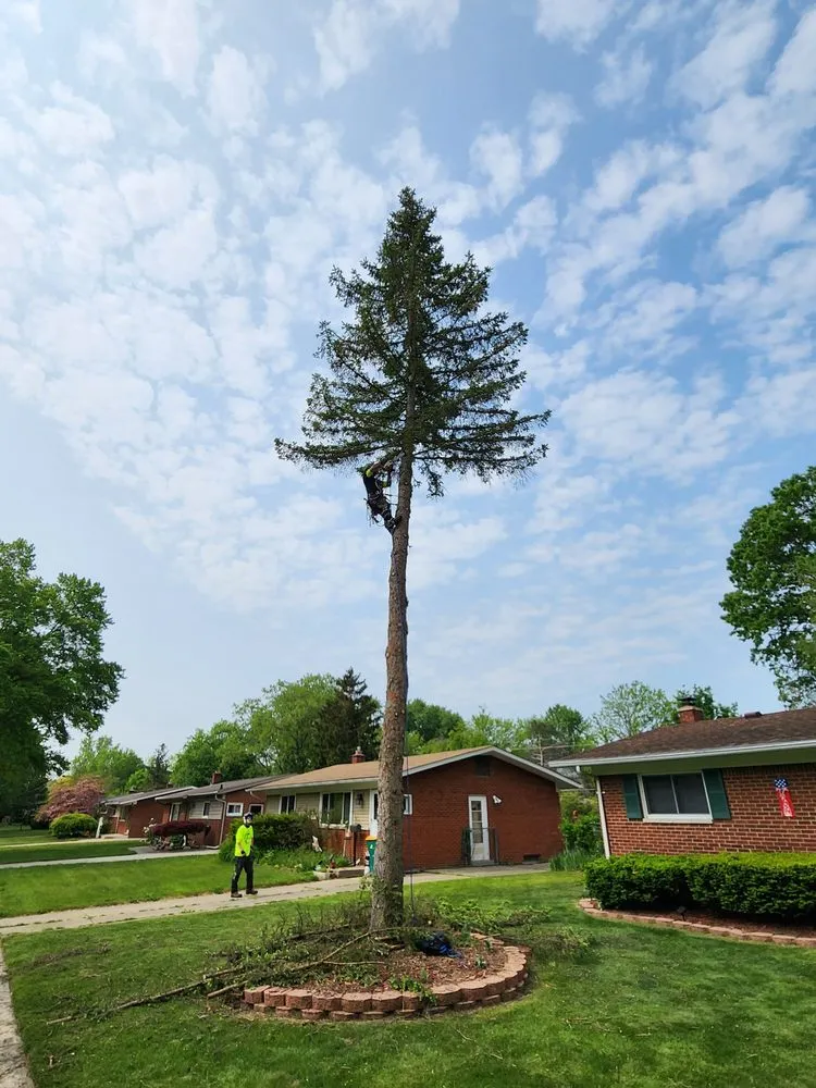 Expert landscaping services for residential properties across Farmington Hills, MI - True Cut Tree Care